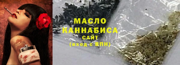 дмт Елизово