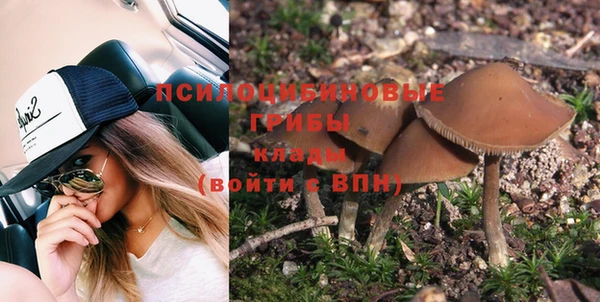 ALPHA PVP Ельня