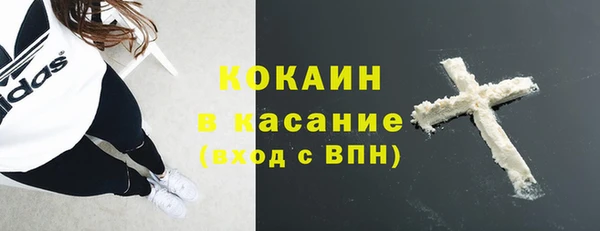 дмт Елизово