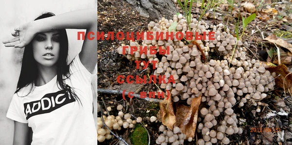 ALPHA PVP Ельня