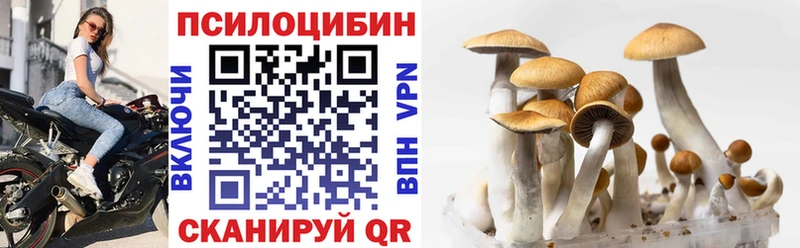 Купить закладки  Змеиногорск  Псилоцибиновые грибы мицелий 