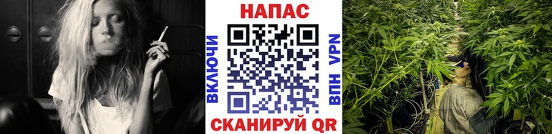 МАРИХУАНА план  Купить  Змеиногорск 